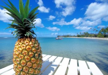 circular nº91-2023: Horario verano AVEP