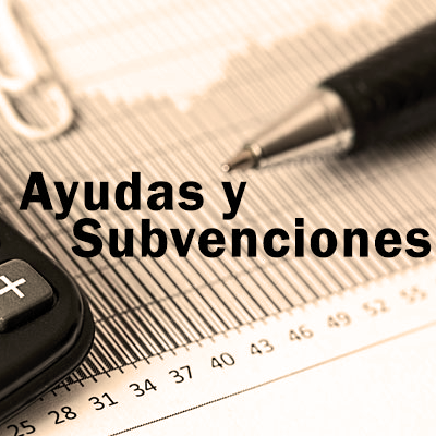 ayudas subvenciones